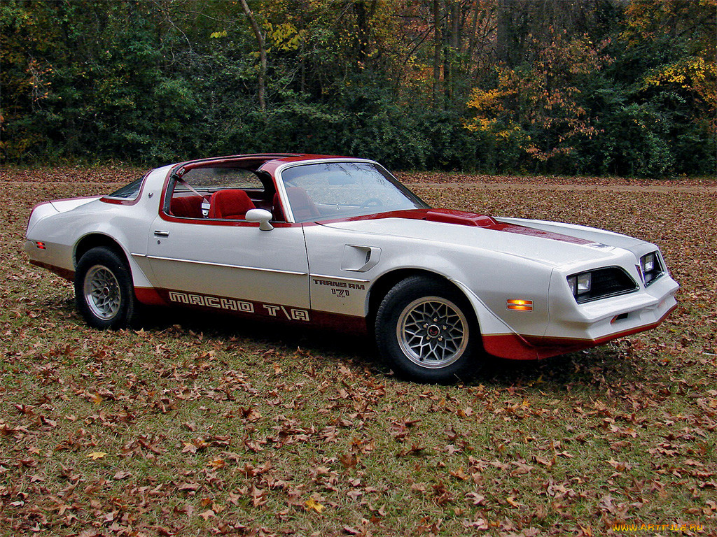 1978, macho, trans, am, , pontiac